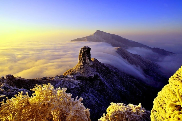 99DBCF4B5FF91C94075513