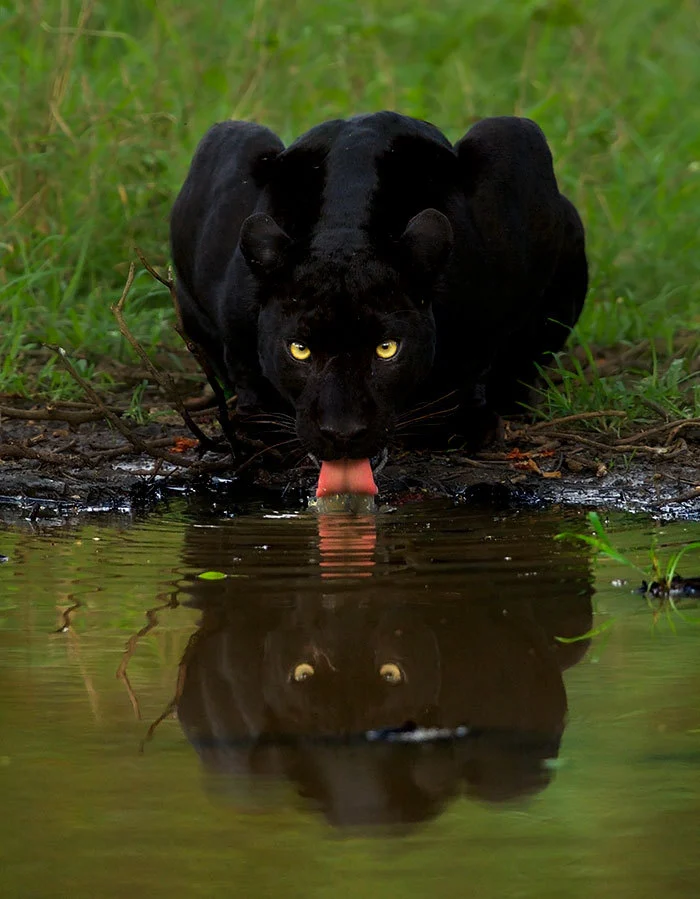 99DFC43F5F1A8B9402A661