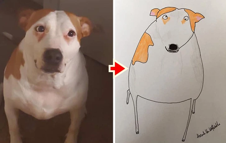 99F7BF495F9271060BB535