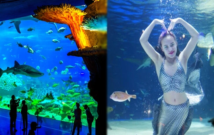 995450415F700FE62080A3