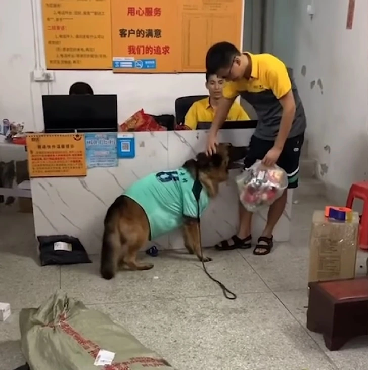 994CF8445F6BFD1E193A21