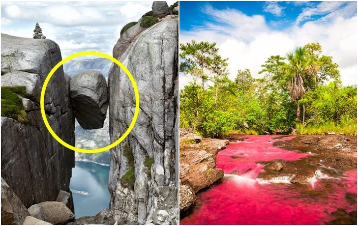 992C204A5F6C94A824708D