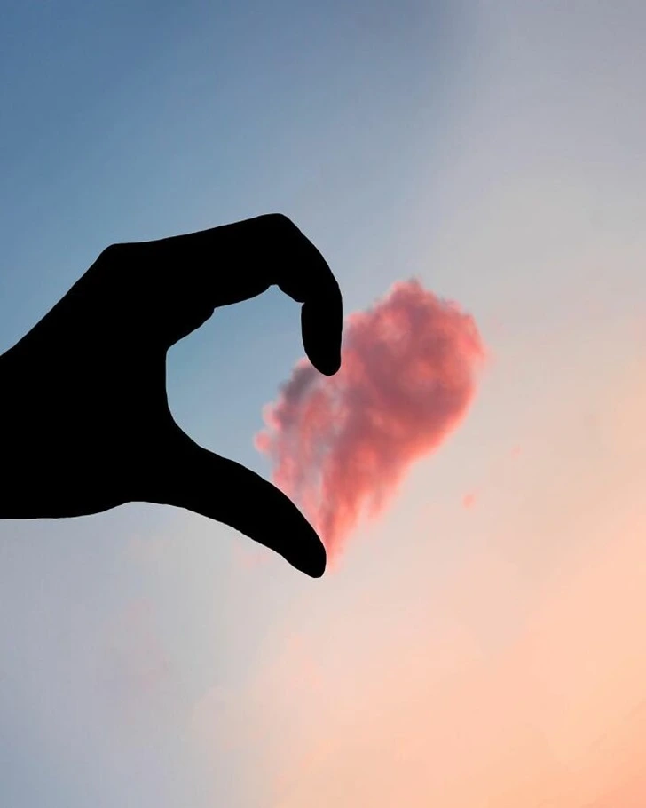 99F0C14C5FE51698081E35