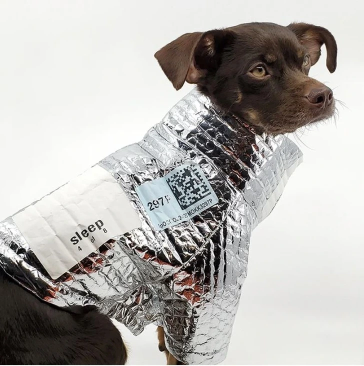 990308405FEFBE5408E0B5