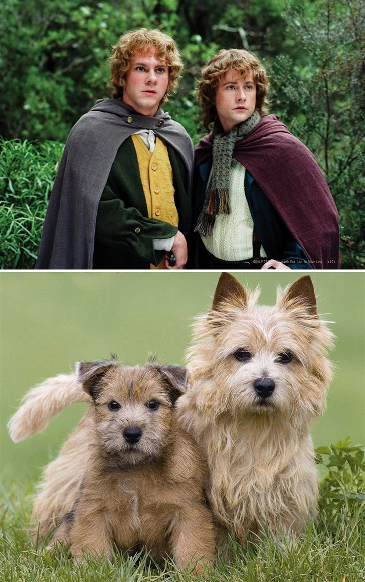 9981EA355FEEBD49151E6A