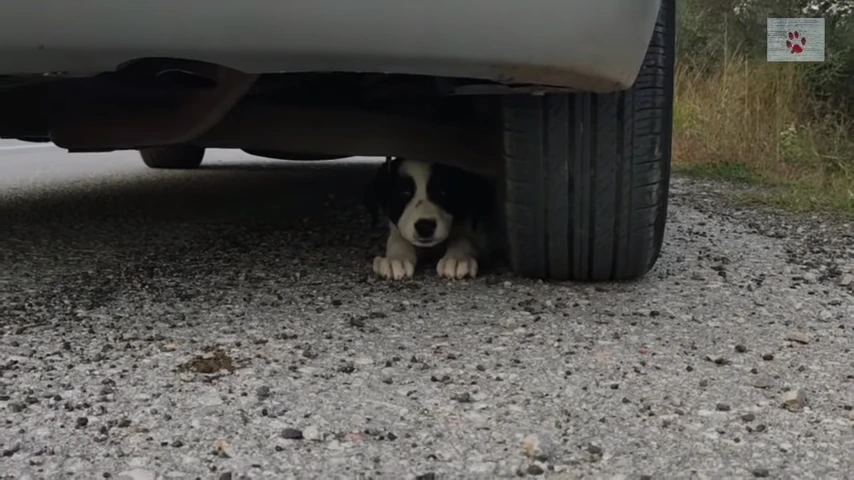 996354435FD97EA90F92FF