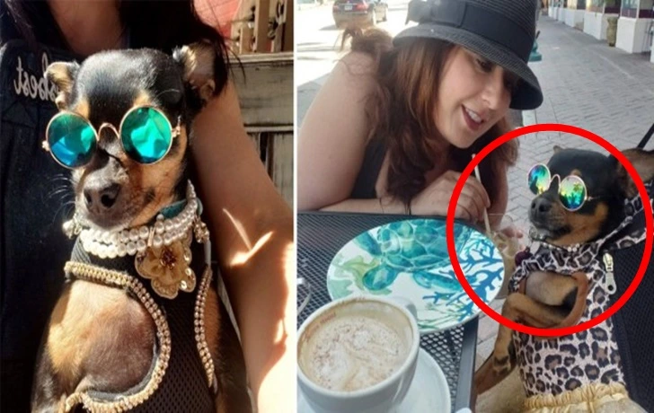 994C3A465FC484A120432C