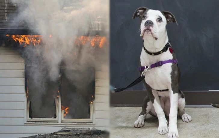 99B0C94B6009FA2A076AAB