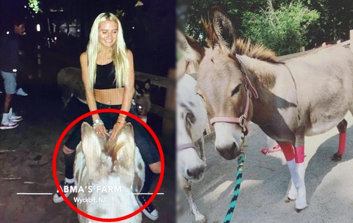 9968BF445F7BA83D14DF37