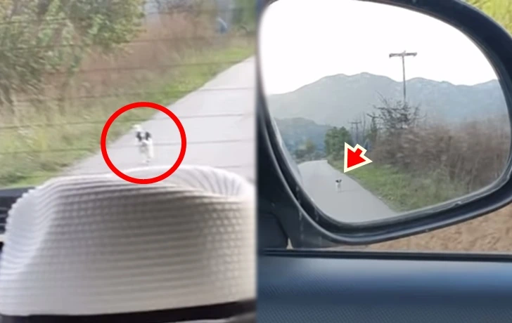 9933F14E5FD97EA912E369