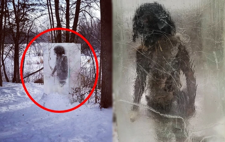 99015346600790E00A1D5E