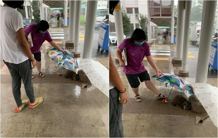 993FED4C5FB7D27E21AB7D