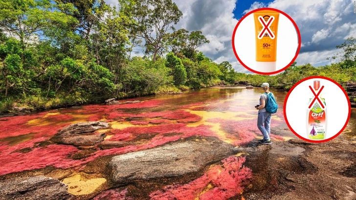 99B00A3B5CD41CBC363522