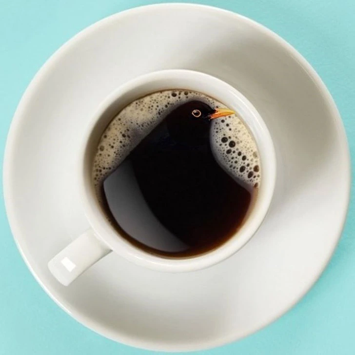 998C3A3B5F222EC625C9E1