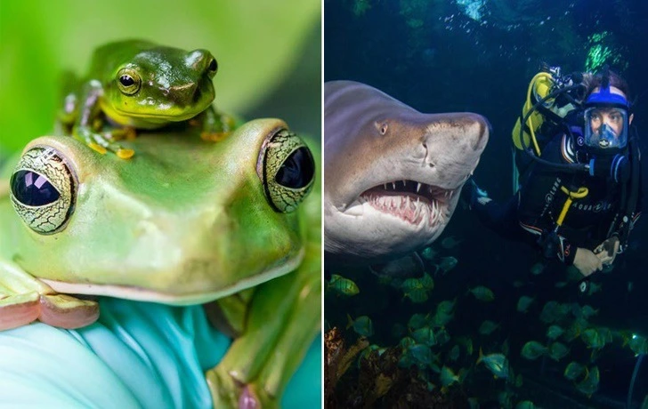 99D27E425F22275C22BF57