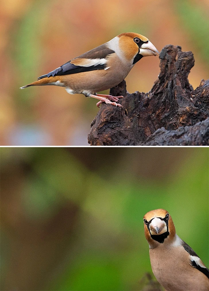 997307395FF655F6096E2A