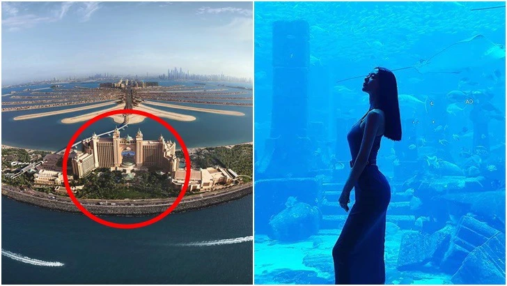 99ADBA4C5D9598F8310EF6