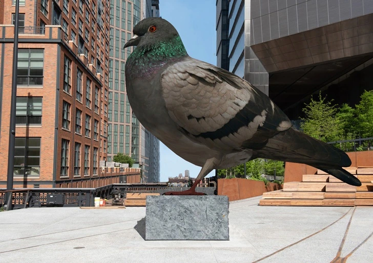 99CA2B495FC33CED1CF8D6