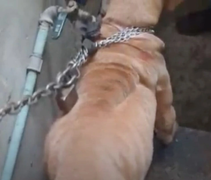 998BB8505FC2048120534F