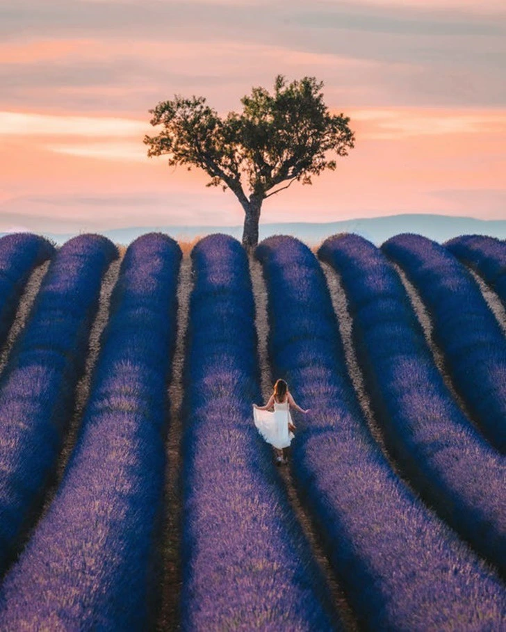 992553455F25103033F111