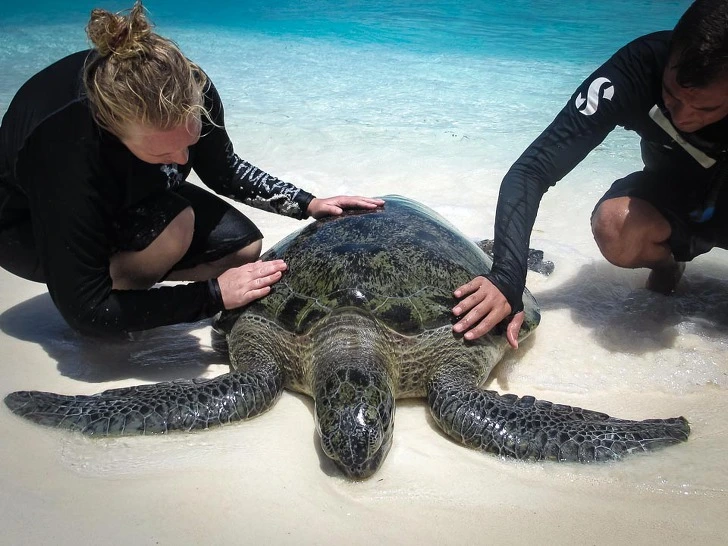 99A5A84E5CFA36B815E2CD