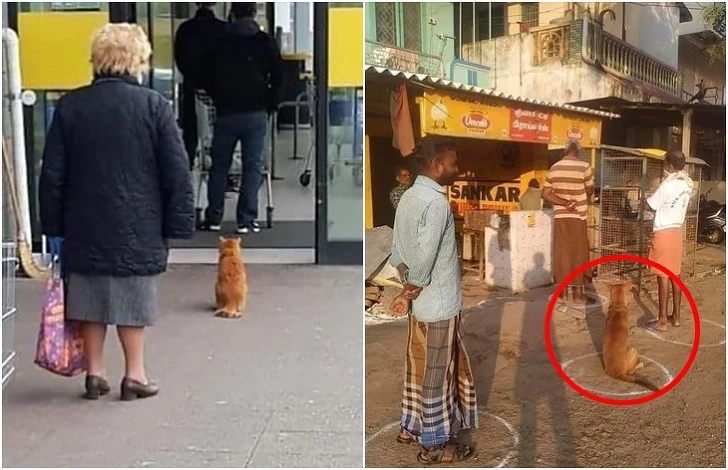 9921F4385E9B9CEA2252F9