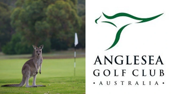 990264475D07222A0FCECF