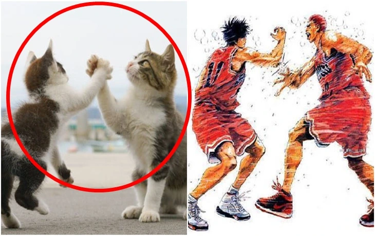 9912C2505FC6CDA70CF772