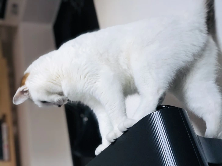 9914BB4A5FF51E890F806F