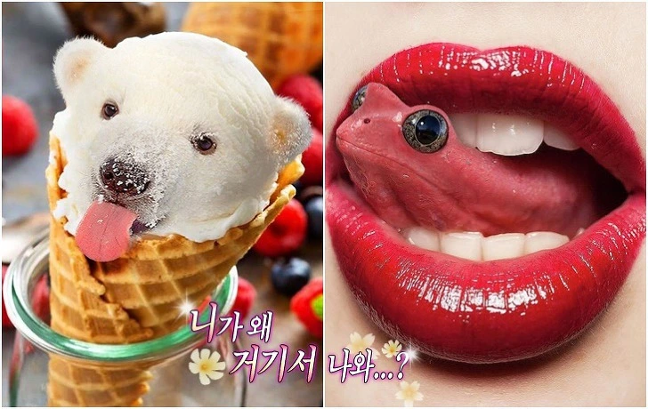 990966365F22305C25FDFC