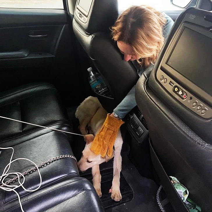 99CBFD445FDBE762093DA4