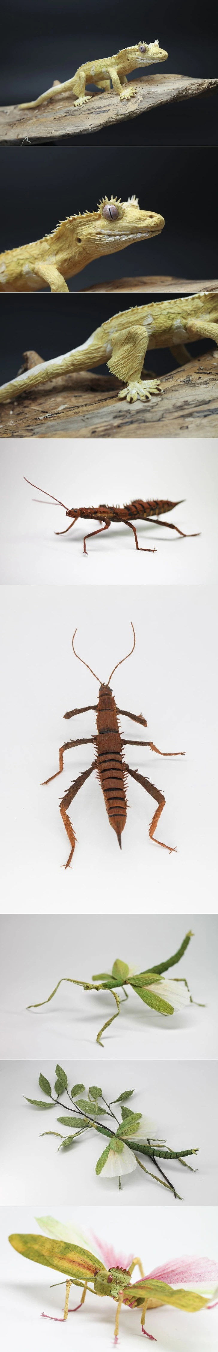 99B1B0425F4B7F722315BE