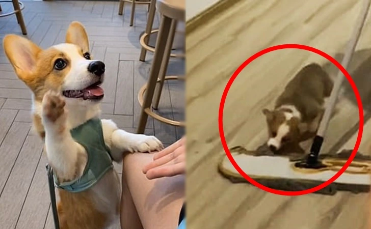 99C05E3D5FF79696028A1C