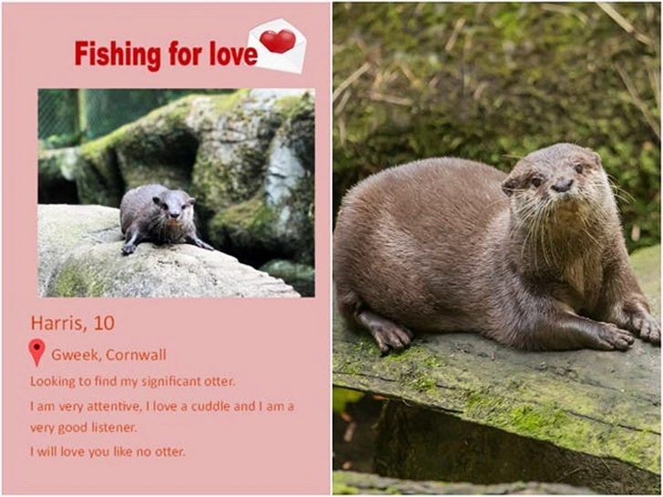 999DDB435FF39BE3047851