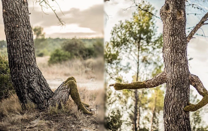 993D77375F2BC8D52CEDB3