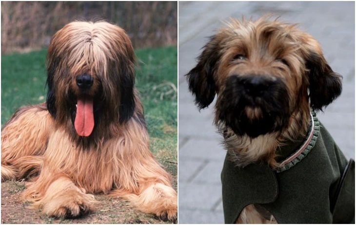 99E049375F71AB3F1B20B4