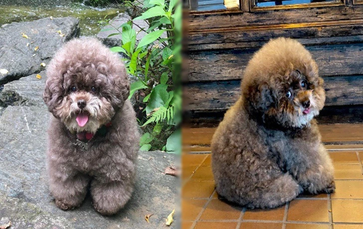 996978405F45CD9B294FFF