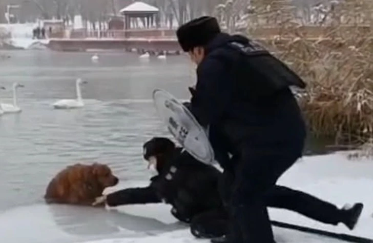 996208365FE9150405C382