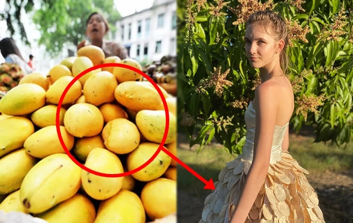 99D060445FCEC63F0838F4