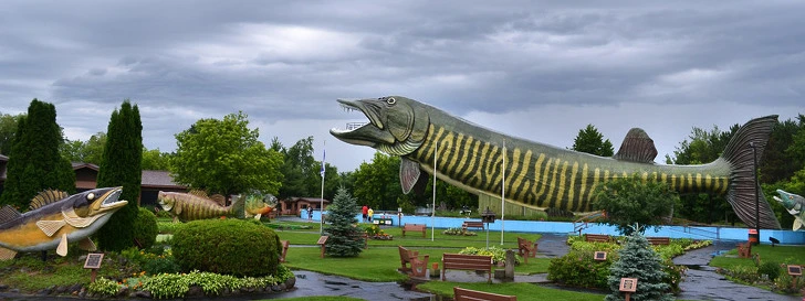 99ED023E5D4438A7385731