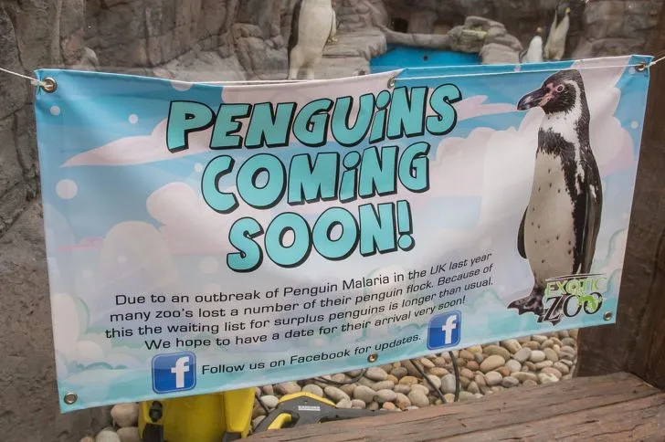 99E888335D6627D32902EF