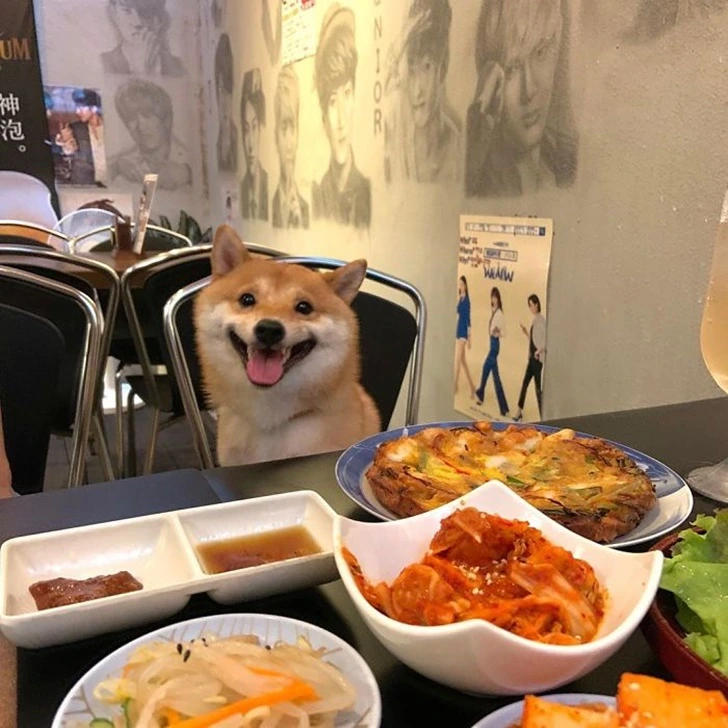 99F4B44B5F695DE226A860