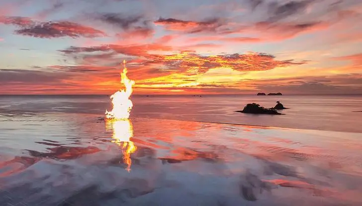 99547D395D6265F31729E9