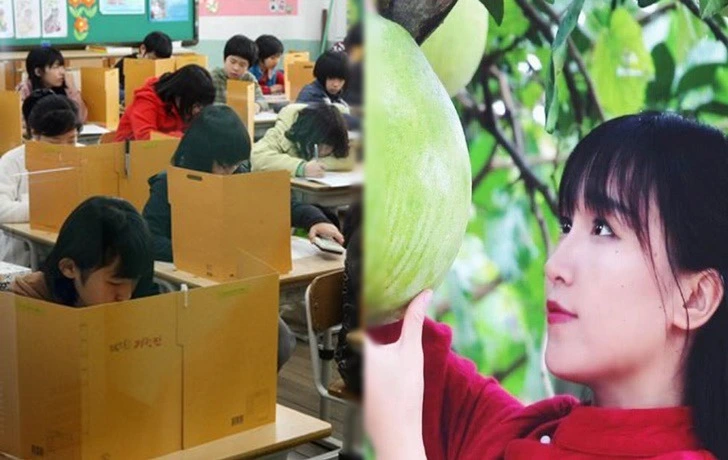 99424D445F1967B116B789