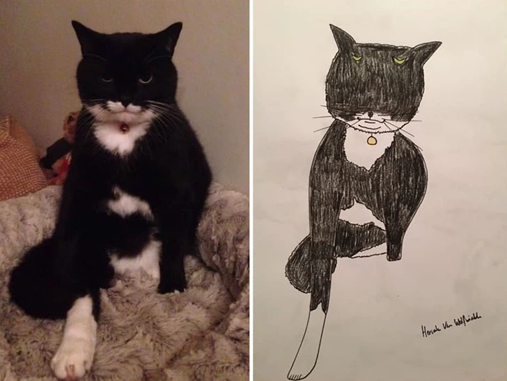 993113435F640E041E291C