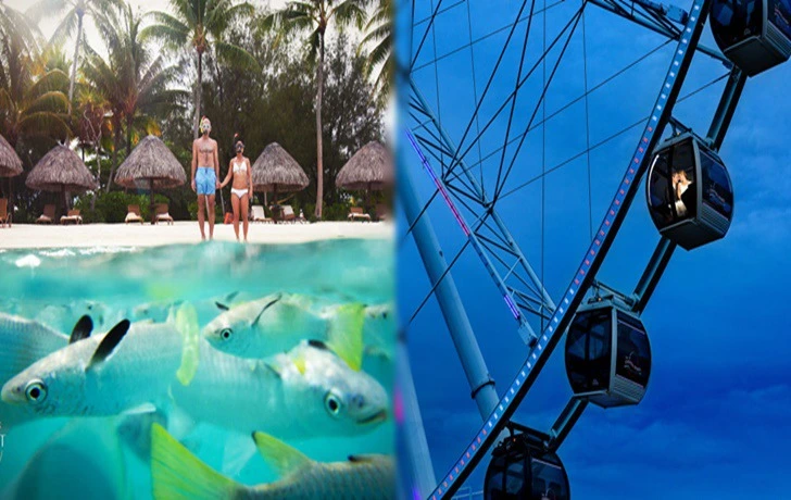 99CC15455F3D25F32FD527