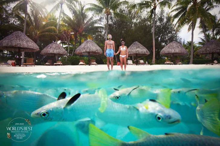 99CC15455F3D239E2E9523