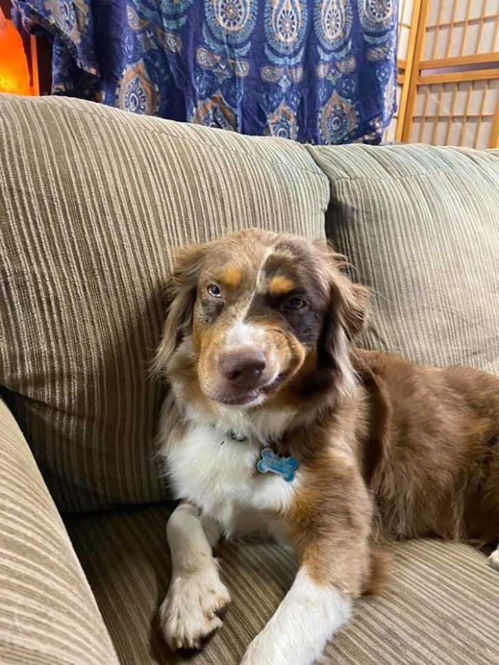 99A19F4E5F75558C187577