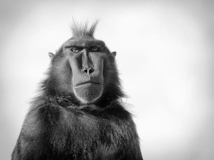 995607445F22256C22690E