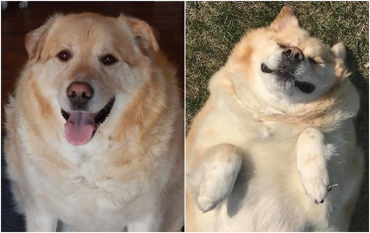 993DE04A5F3BD57D2F9472